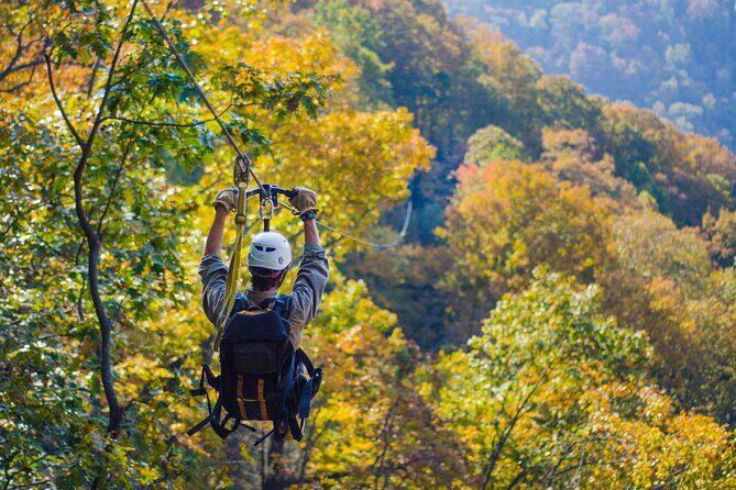 Epic Zipline Canopy Tour - The Gorge Zipline: Saluda, NC - What You Can Expect from the Gorge Zipline Tour