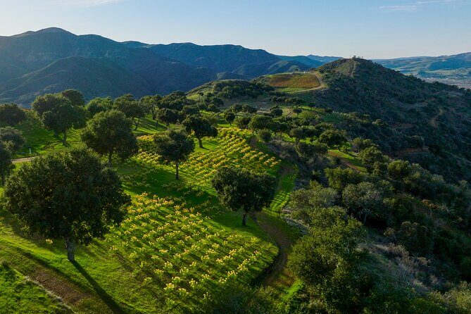 Epic Zipline Tour near Santa Barbara - The Sum Up