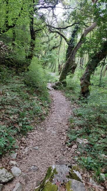 Epirus: Zagori Rafting Tour with viewpoints,lunch and photos - A Day in Zagori: What to Expect From the Tour