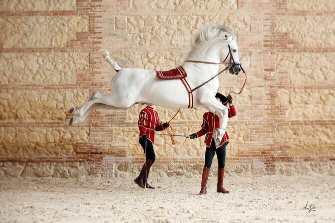 Equestrian Show Royal Stables of Córdoba - Frequently Asked Questions