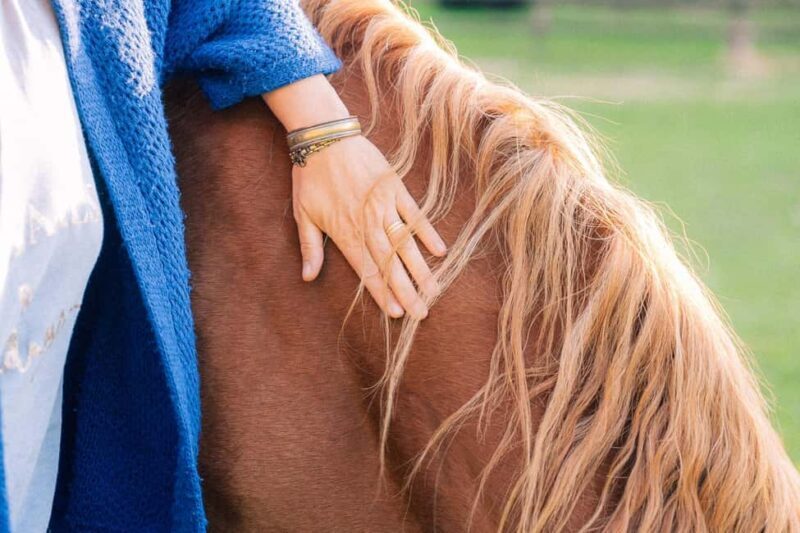 Equicoaching - experience the connection with horses in Normandy - What is Equicoaching?