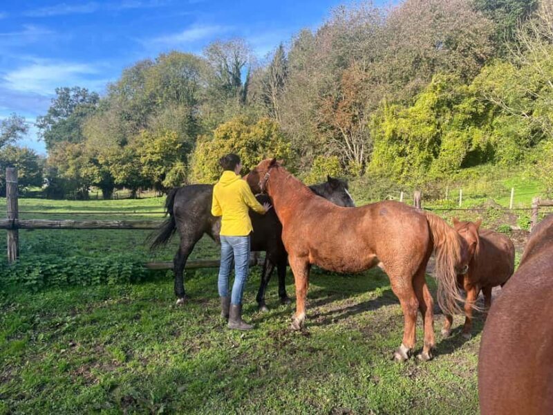 Equicoaching - experience the connection with horses in Normandy - Who is it for?