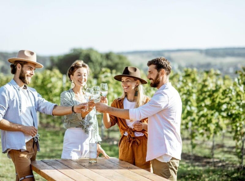 Ercolano vineyards, view cellar wine tasting and brunch - Is It Good Value?