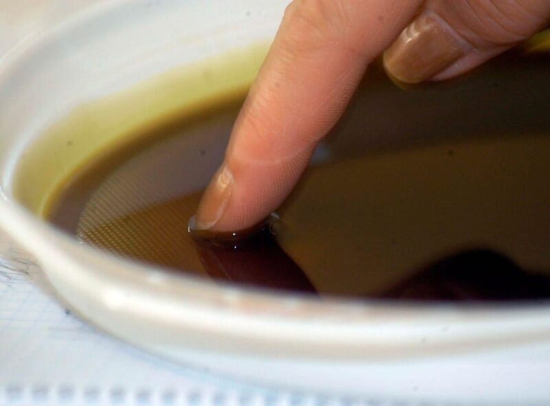 Ercolano vineyards, view cellar wine tasting and brunch - FAQ