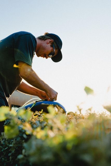Ericeira: Surf coaching at the World Surfing Reserve - The Experience from the Reviews