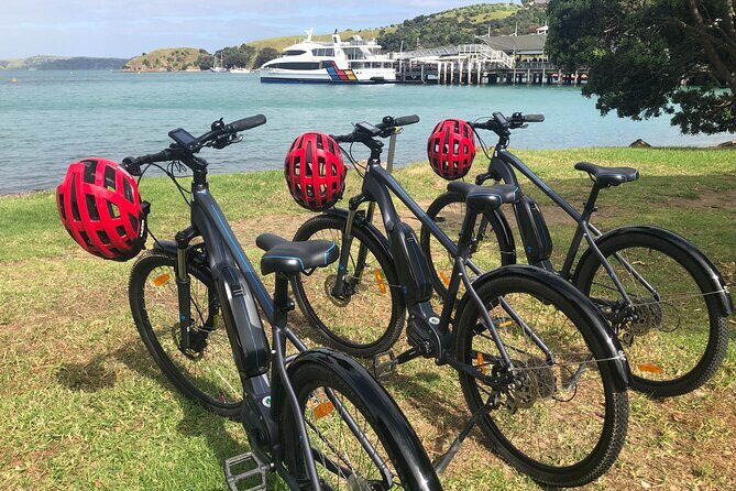 eRide Waiheke 5 bays ride - Is This Tour for You?