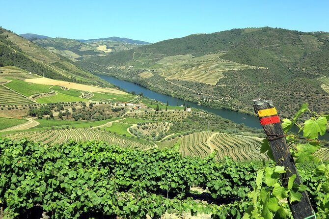 Ervedosa do Douro Walking Tour - Ervedosa do Douro Walking Tour: A Relaxed Yet Impressive Way to Discover Portugal’s Vineyards