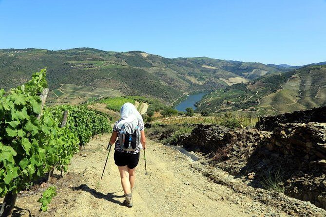 Ervedosa do Douro Walking Tour - What Sets This Tour Apart