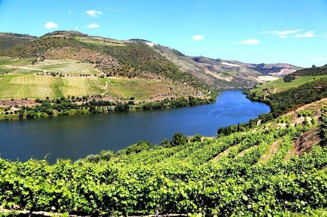Ervedosa do Douro Walking Tour - Who Would Love This Tour?