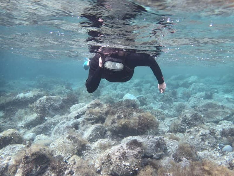 Es Grau:Private Snorkeling Experience with Picnic and Drinks - The Bottom Line: Is It Worth It?