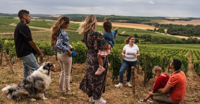 Escapade and tasting in the Chablis vineyards - Exploring the Chablis Vineyards: A Practical Review of the Tasting Tour