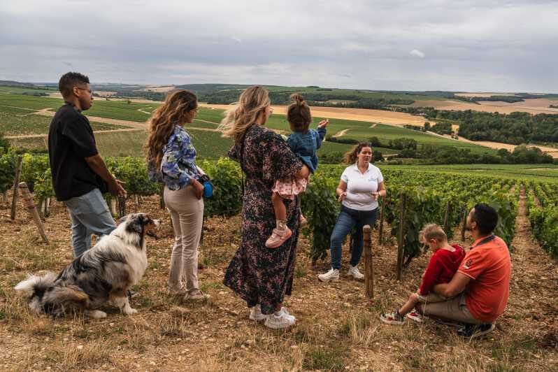 Escapade and tasting in the Chablis vineyards - Key Points