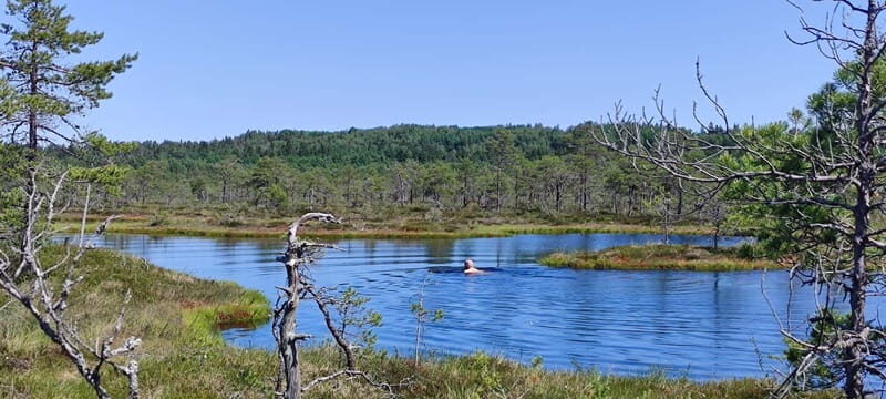 Escape from Tallinn  Hike, Swim, Forage & Cuddle Sled Dogs - FAQ