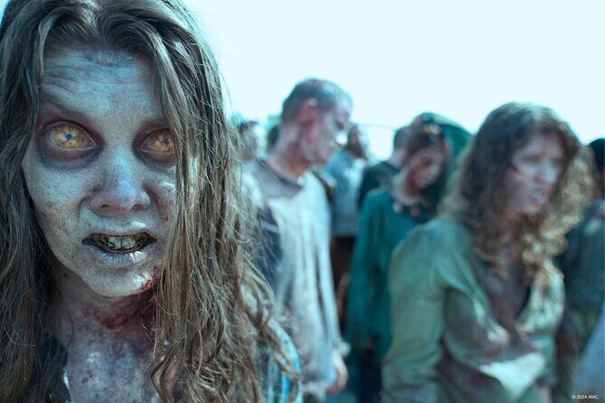 Escape Game Outdoor The Walking Dead in Pau - In-Depth Breakdown of the Experience