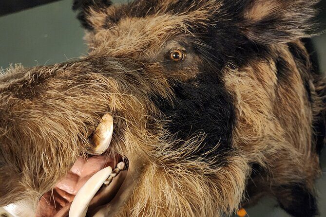 Escape Room Experience Taupo - The Hunting Lodge - The Experience in Practice: What You Can Expect