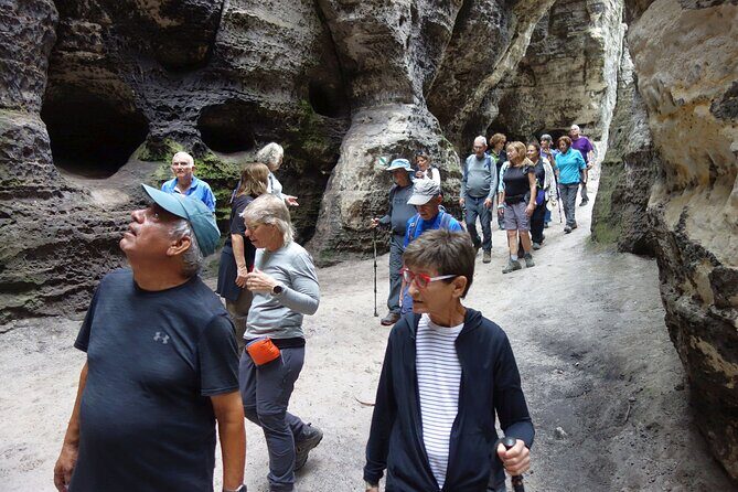 Escape the City: Bohemian and Saxon Switzerland Tour from Dresden - What to Expect in Terms of Walking and Hiking