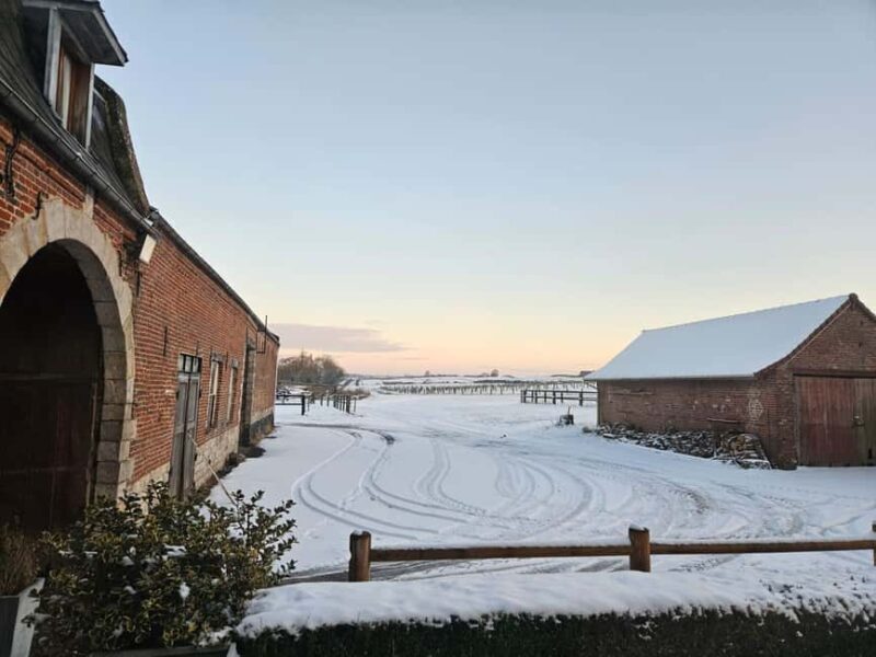 Escarmain: Tandem sulky ride to discover the world of racing - Key Points