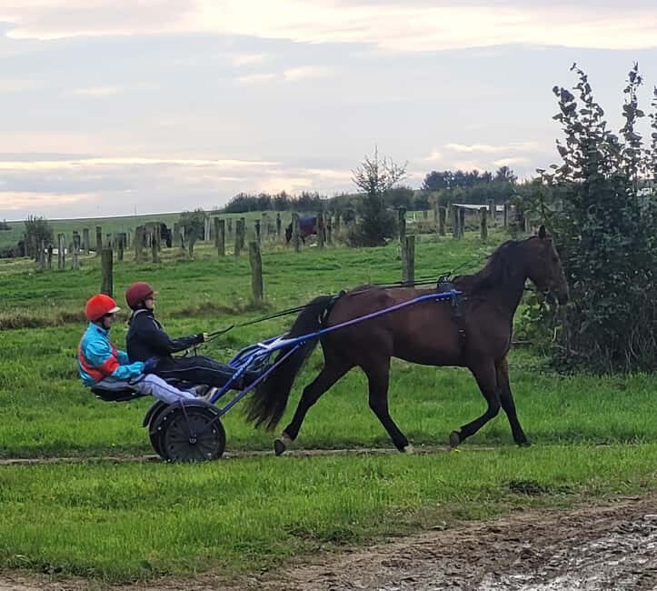 Escarmain: Tandem sulky ride to discover the world of racing - A Deep Dive into the Tandem Sulky Adventure