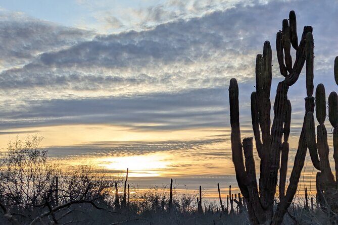 Espíritu Santo Adventure Private Tour - Key Points