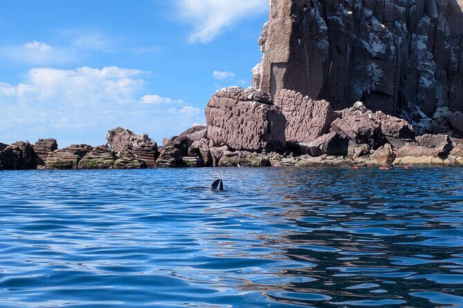 Espíritu Santo Adventure Private Tour - Starting Point and General Overview