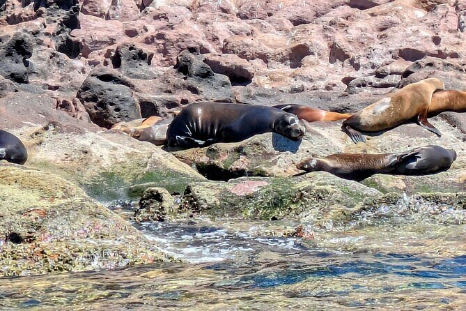 Espíritu Santo Adventure Private Tour - Lunch and Relaxation on Espíritu Santo Island