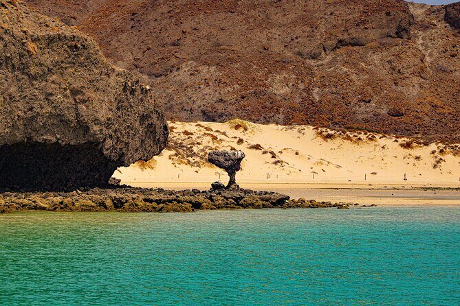 Espíritu Santo and Balandra Beach Combo Tour: Sea Lion Snorkeling - FAQs