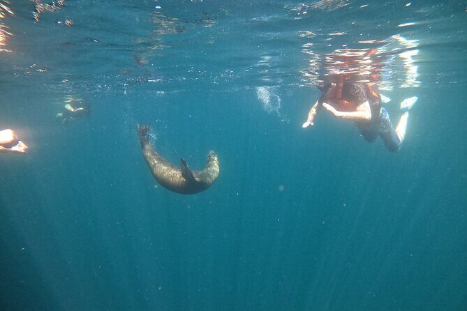 Espiritu Santo Island and sea lions - FAQ