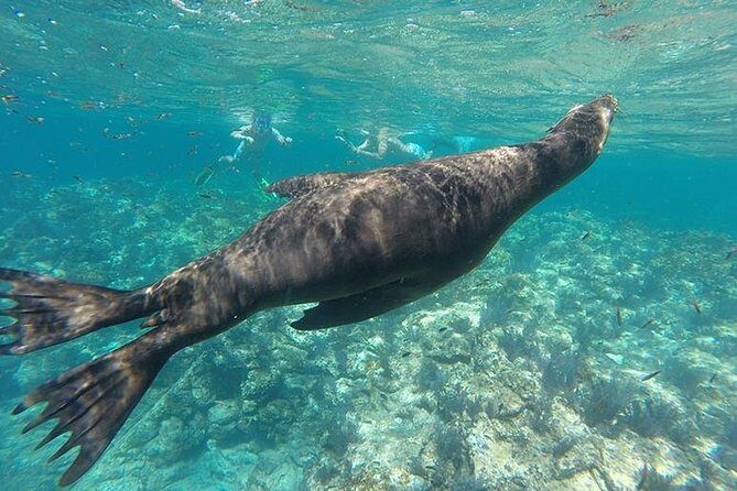 Espiritu Santo Island Day Tour - Key Points