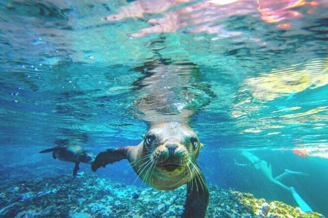 Espiritu Santo Island Day Tour - Practical Details and Considerations