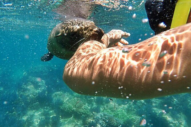 Espiritu Santo Island Day Tour - FAQs