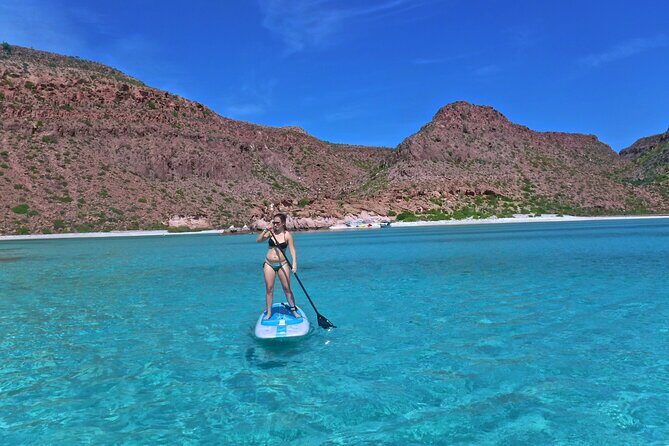 Espiritu Santo Island Private Tour: Sea Lions and paddle boarding - Exploring Espiritu Santo Island: A Practical Look at the Sea Lions and Paddleboarding Tour