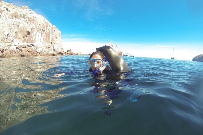 Espiritu Santo Island, Sea Lions & Paddleboard 1 to 10 Private Group Adventure - Final Thoughts