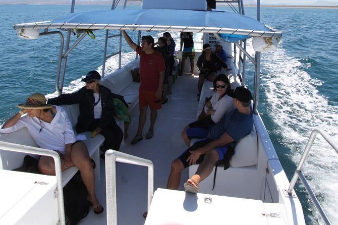 Espiritu Santo Island Snorkel & Sea Lion Adventure - FAQ: Practical Questions About This Tour