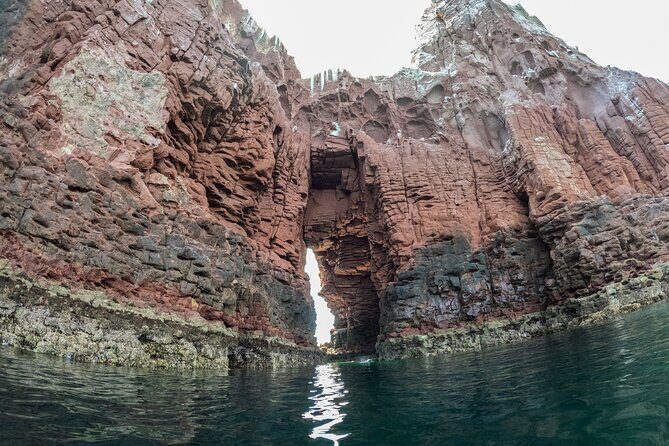 Espiritu Santo Island Snorkel & Sea Lion Adventure - Final Thoughts