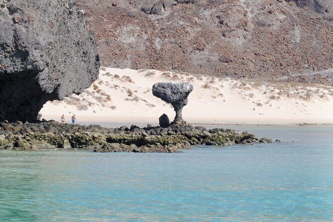 Espiritu Santo Island Tour - Final Thoughts