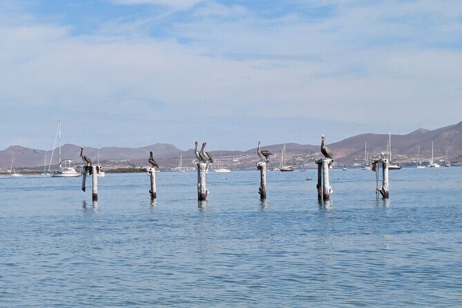 Espíritu Santo Private Scuba Tour - Who Will Love This Tour?