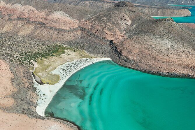 Espiritu Santo Wildlife Expedition and Snorkeling Tour (Private) - An In-Depth Look at the Tour Experience