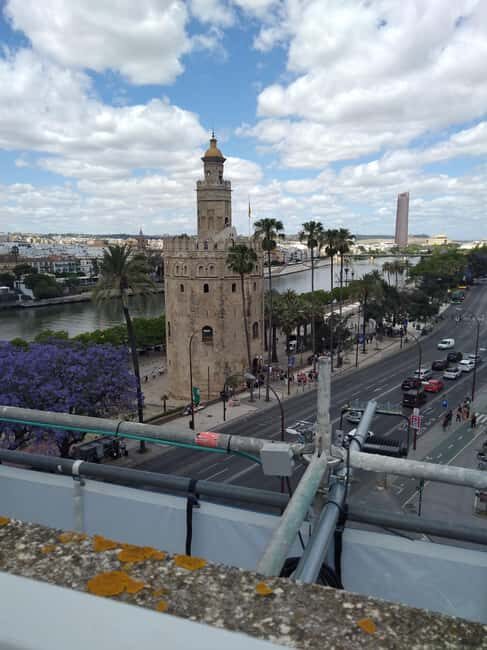 Essential Seville with Tapas: Santa Cruz, Plaza de España, and Local Flavors - The Bottom Line: Who Should Consider This Tour?
