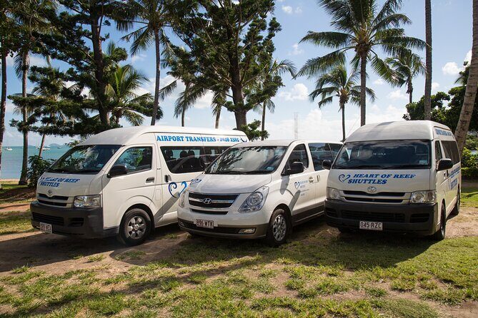 Established Return Airport Transfer Proserpine to Airlie Beach - Key Points