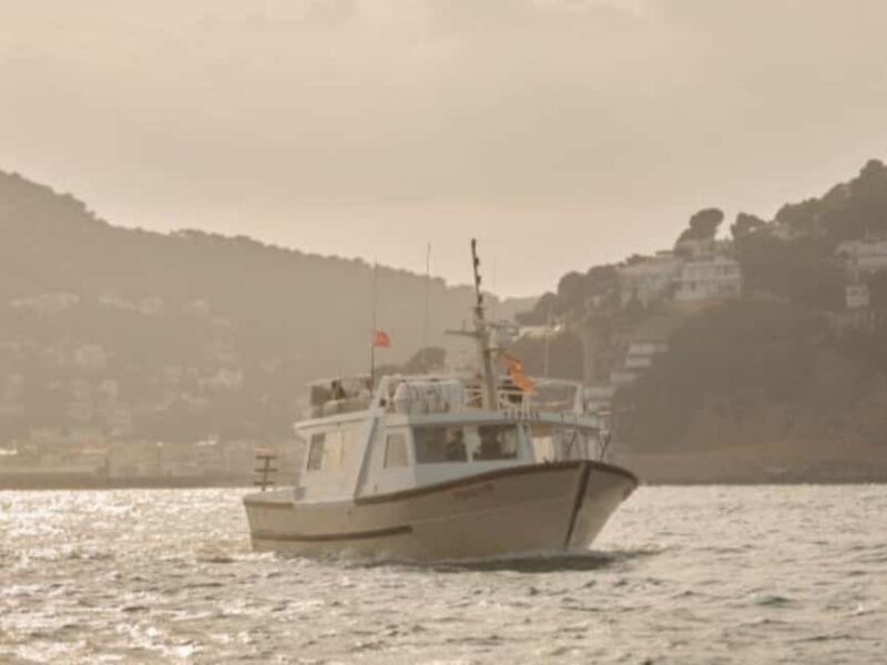 Estartit: Sunset Cruise with Snorkeling and a Drink - Key Points