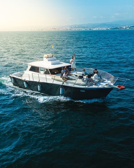 Estepona: Dolphins Searching Sea Cruise with Drink & Snacks - Who Should Book This Tour?