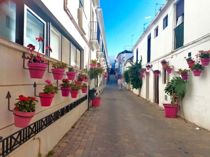 Estepona: Private Guided Tour - Key Points