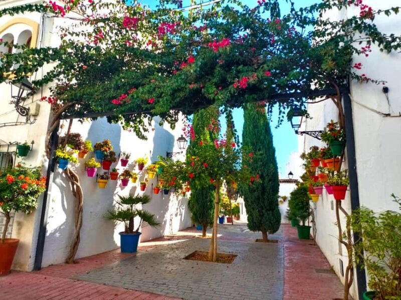 Estepona: Private Guided Tour - Exploring Estepona: What to Expect from the Tour