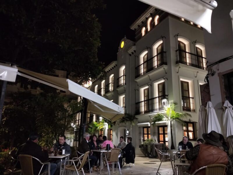 Estepona Walking Tour - City History, Culture & Gastronomy - Value for Money and Practicalities