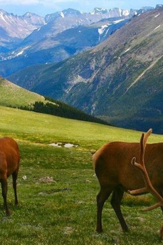 Estes Park: Bear Lake Corridor Tour - FAQ