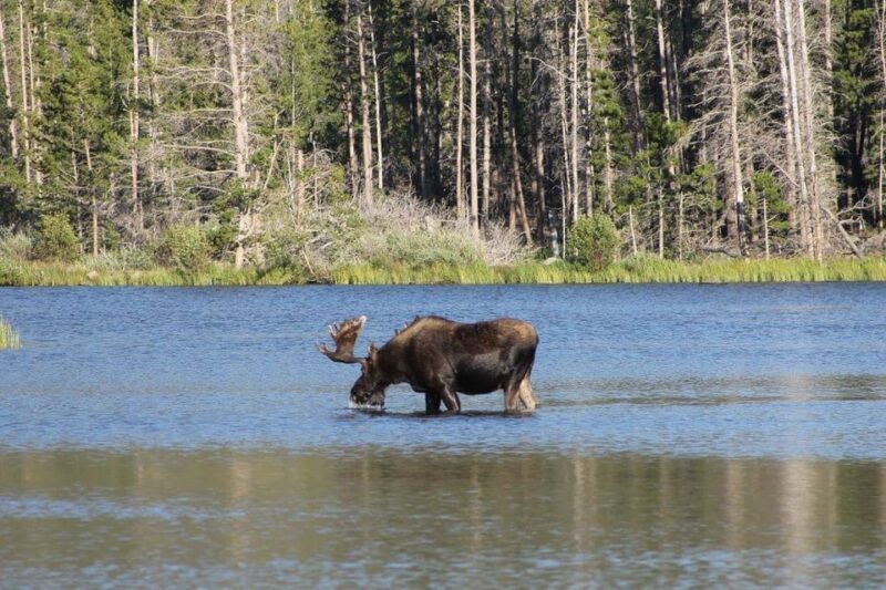 Estes Park: Waterfall Hiking Tour - What’s Included and What’s Not