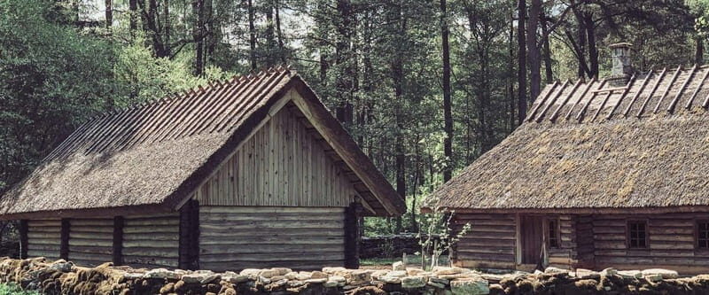Estonian Open Air Museum  Cultural VIP tour from Tallinn - Key Points