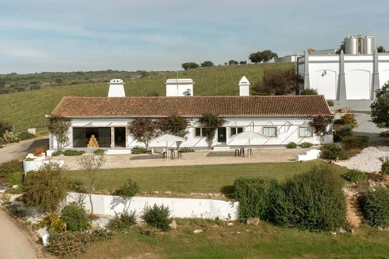 Estremoz, Alentejo, Portugal: Wine tour & Wine tasting - Exploring Aliestre Vineyards: What’s on Offer