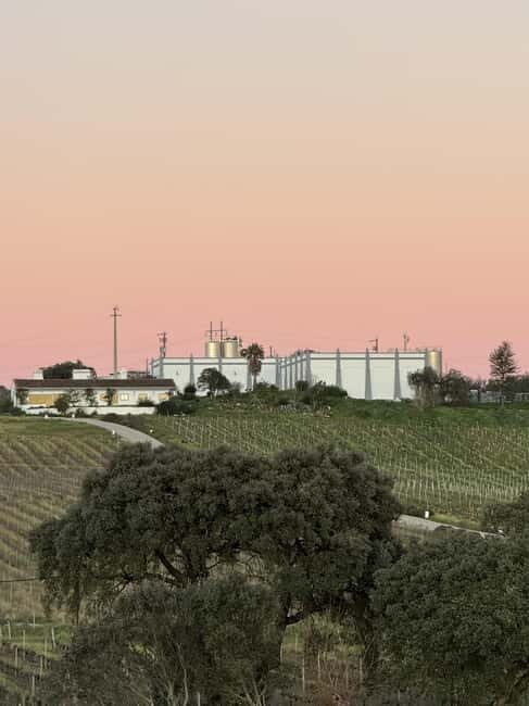 Estremoz, Alentejo, Portugal: Wine tour & Wine tasting - Price & Value