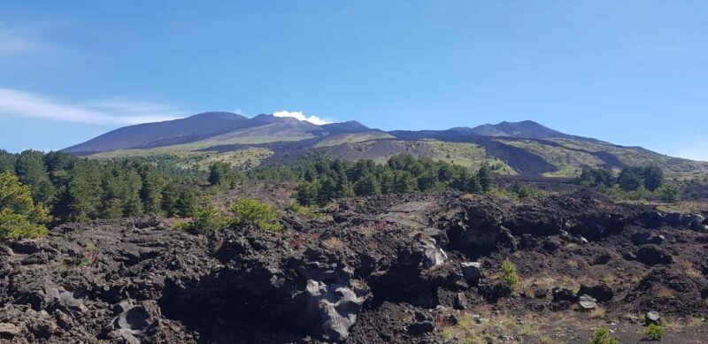 Etna and surroundings with honey tasting - The Experience Quality and Value